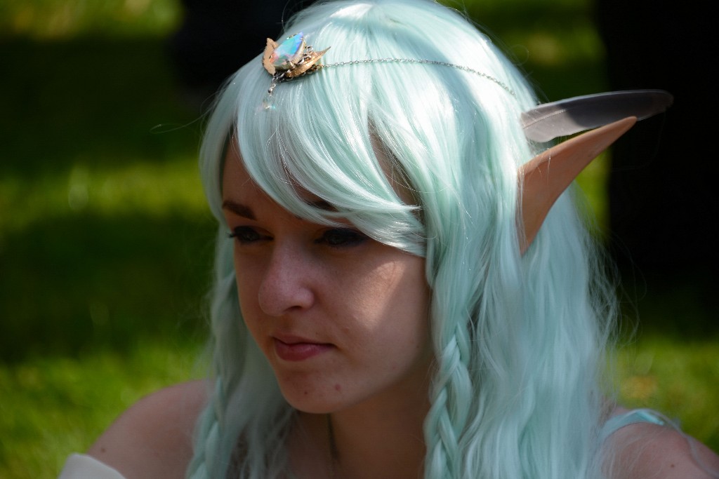 ../Images/Vrijdag Castlefest 2015 140.jpg